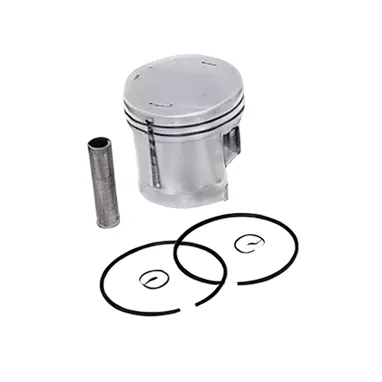 HP4S-19 PISTON ASSY SET
